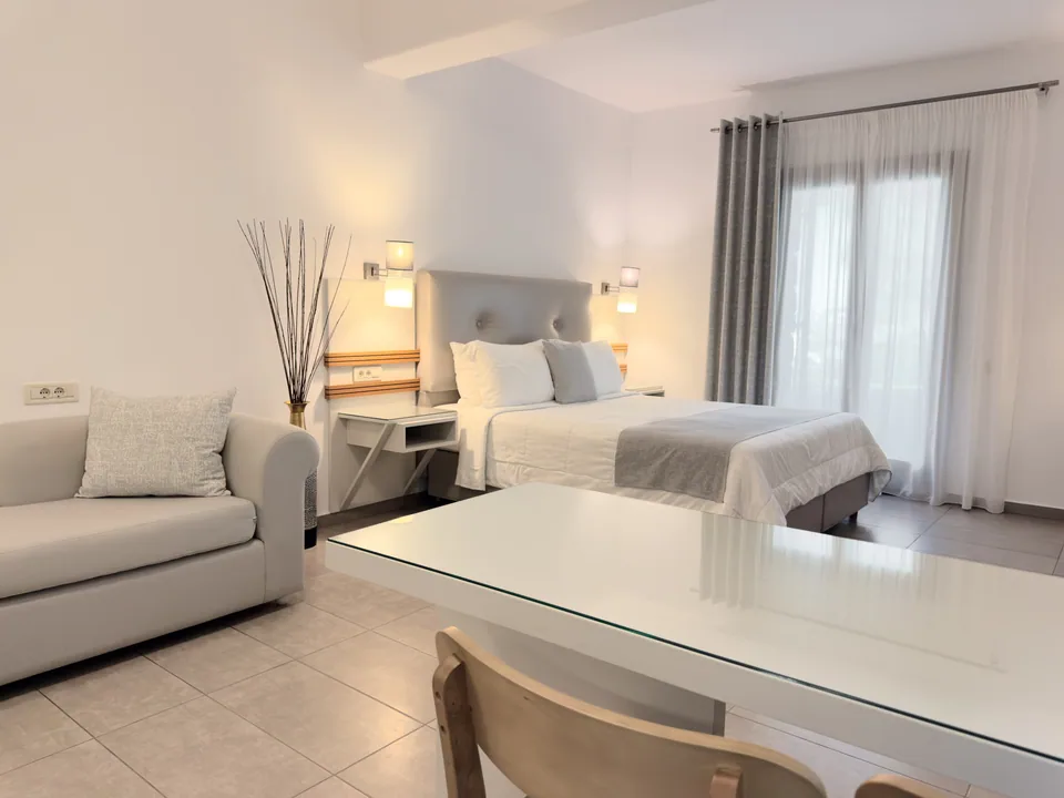 Studio 101 · Kitchenette and dining area