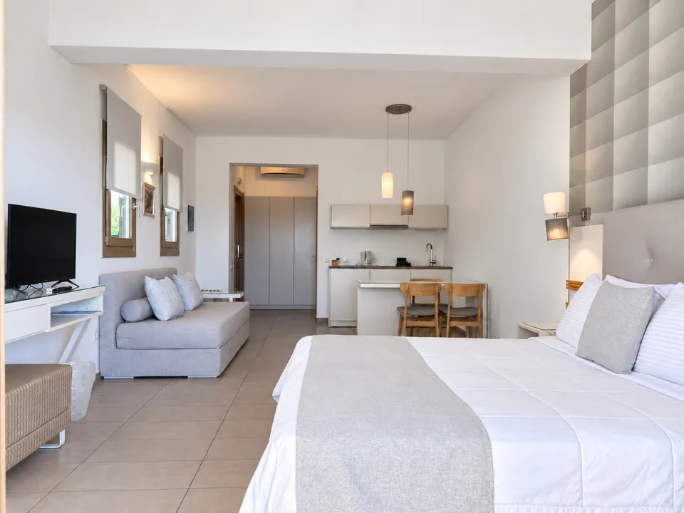Studio 102 · Sleeping area