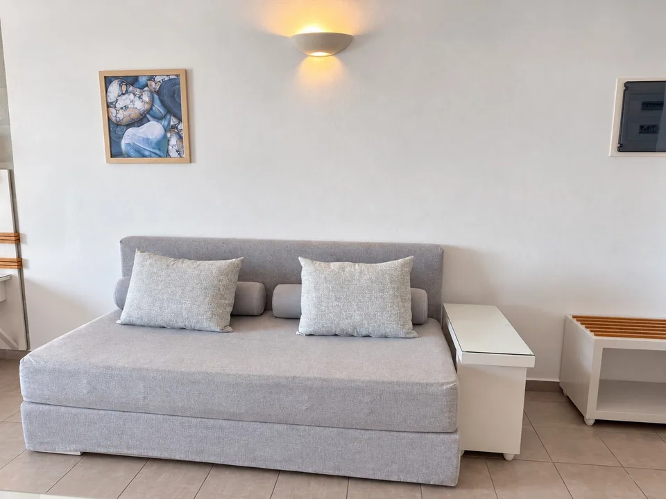 Studio 105 · Living area