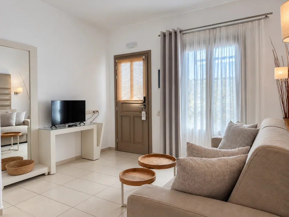 Suite 202 · Living area