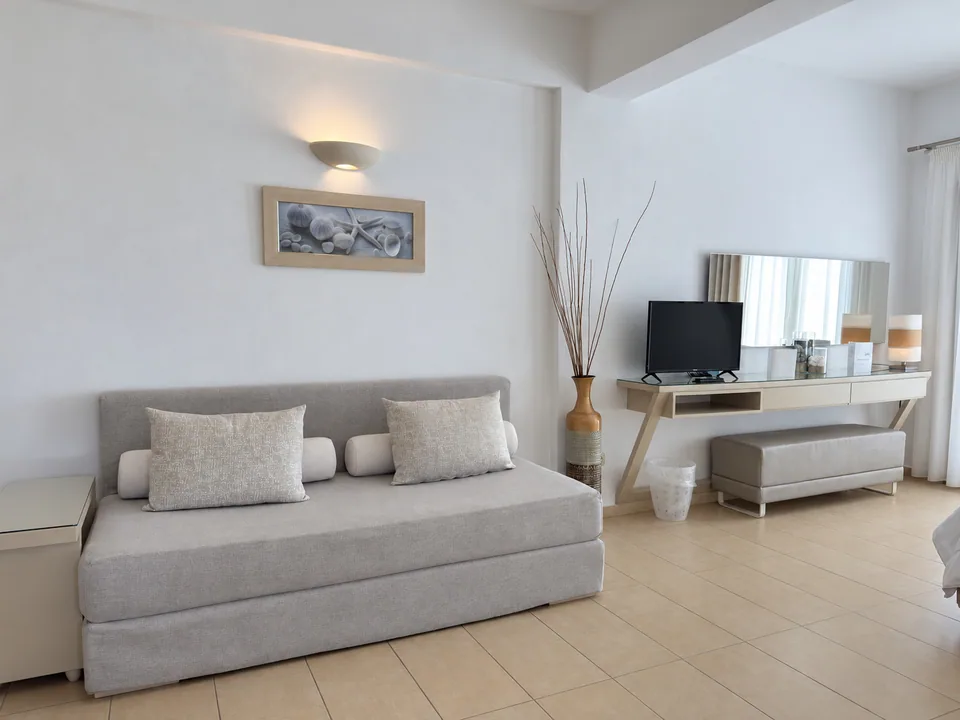 Studio 207 · Living area