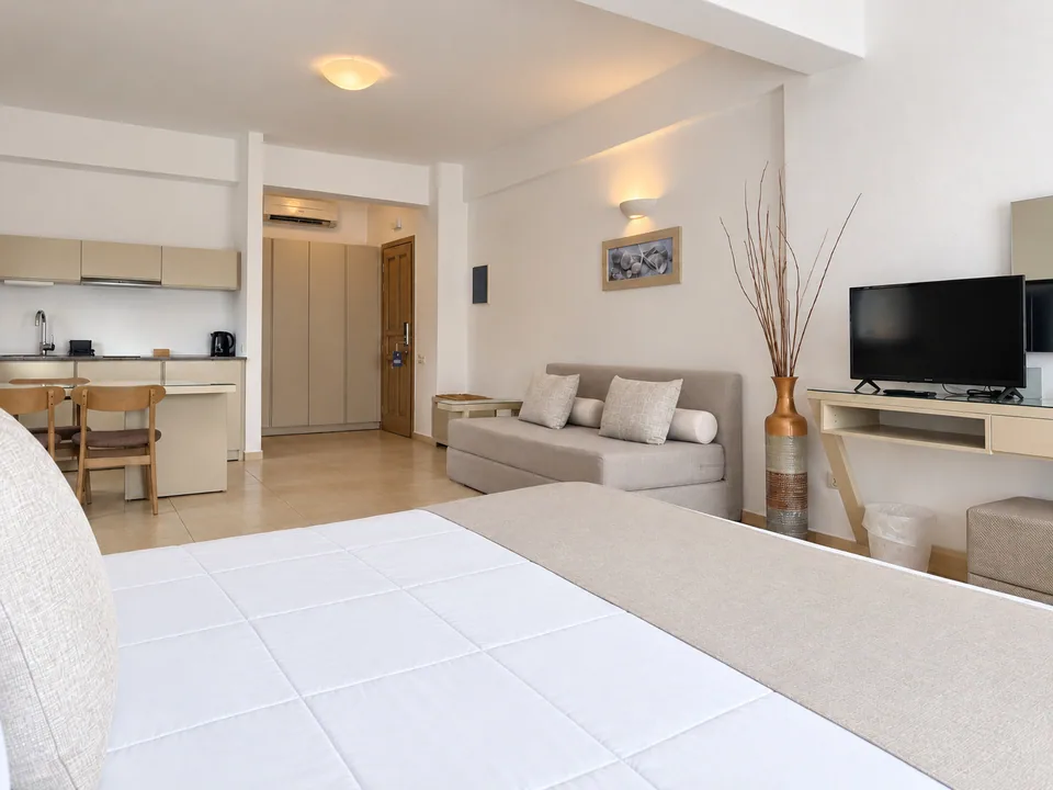 Studio 207 · Kitchenette and dining area