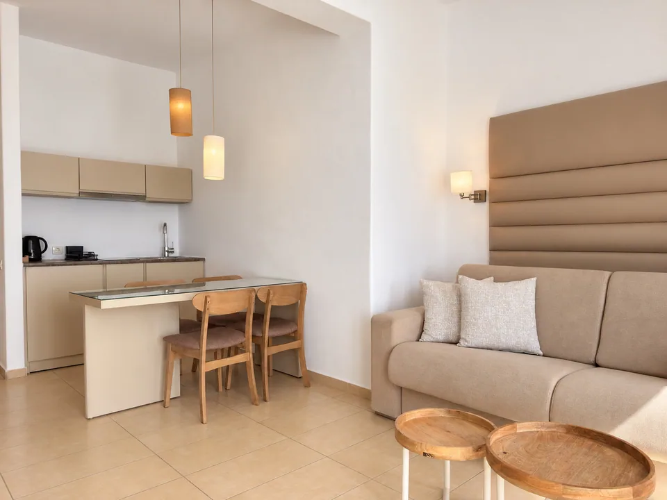 Suite 208 · Kitchenette and dining area