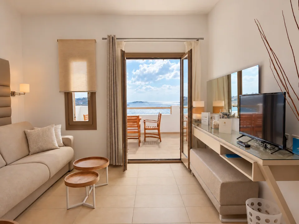 Suite 208 · Living area